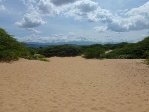 Médanos de Coro National Park