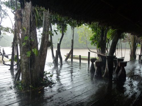 weneart5 Deszcz w Orinoco Eco Camp