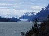 Torres del Paine, Lodowiec Grey