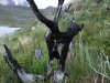 Torres del Paine