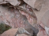 Jaskinia Rąk (Cueva de los Manos)
