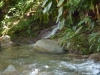 rzeka w Henri Pittier Park
