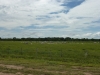 p1010987