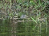 dsc01815