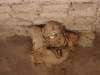 Nazca - Cmentarz