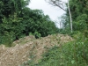 dsc04250